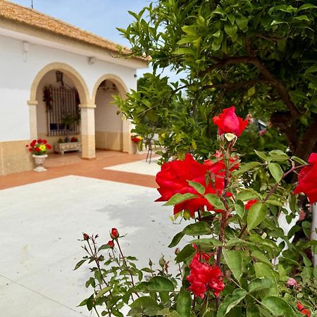Вилла La Casa Del Flamenco Каньяда-дель-Рабадан Экстерьер фото
