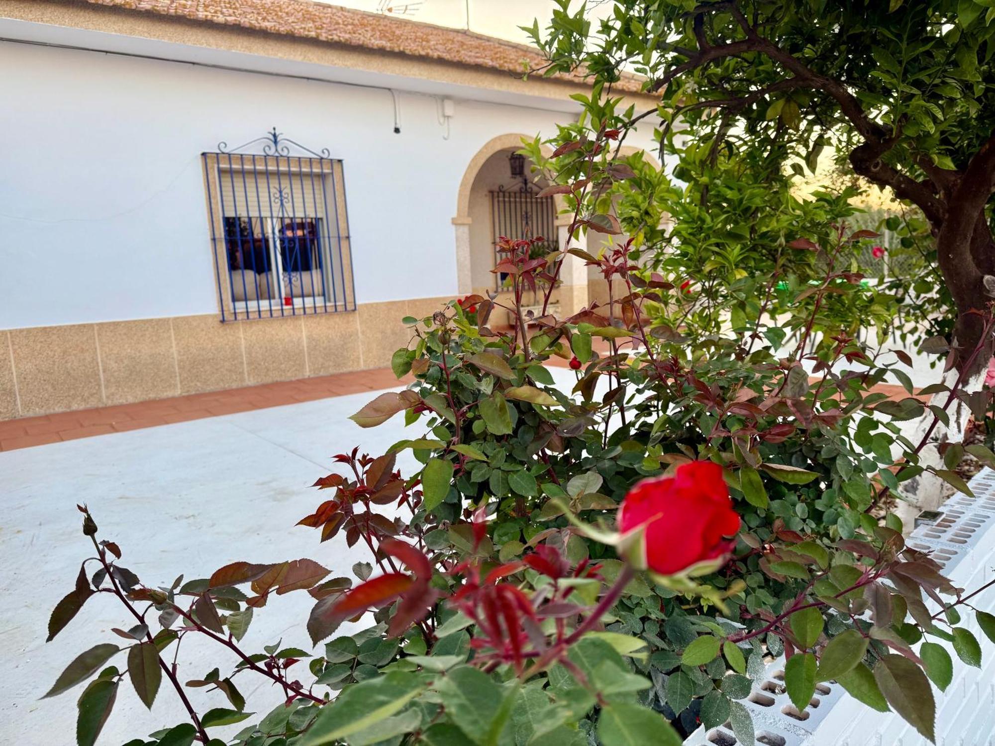 Вилла La Casa Del Flamenco Каньяда-дель-Рабадан Экстерьер фото