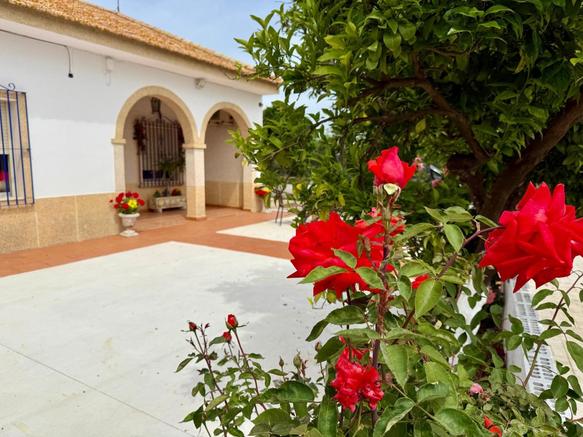 Вилла La Casa Del Flamenco Каньяда-дель-Рабадан Экстерьер фото